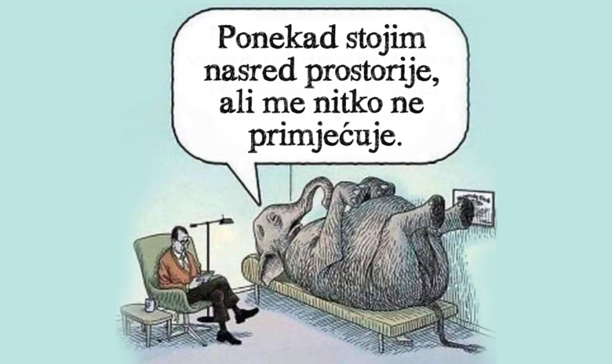 Slon u sobi