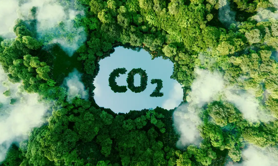 Razotkrivena ideologija klimatskih histeričara!