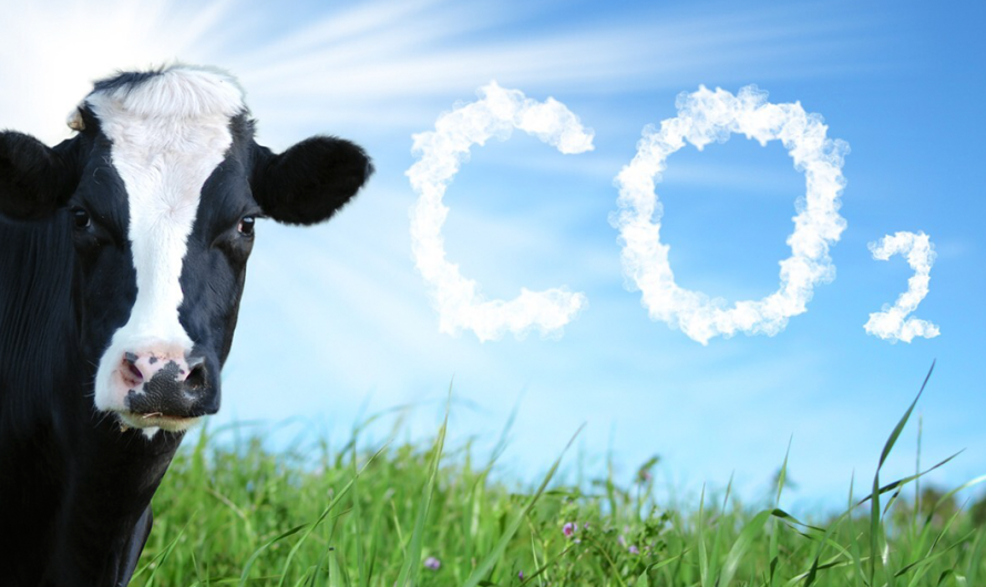 Koliki je postotak CO2 u atmosferi?