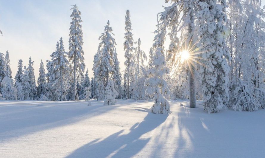 U adventskoj noći