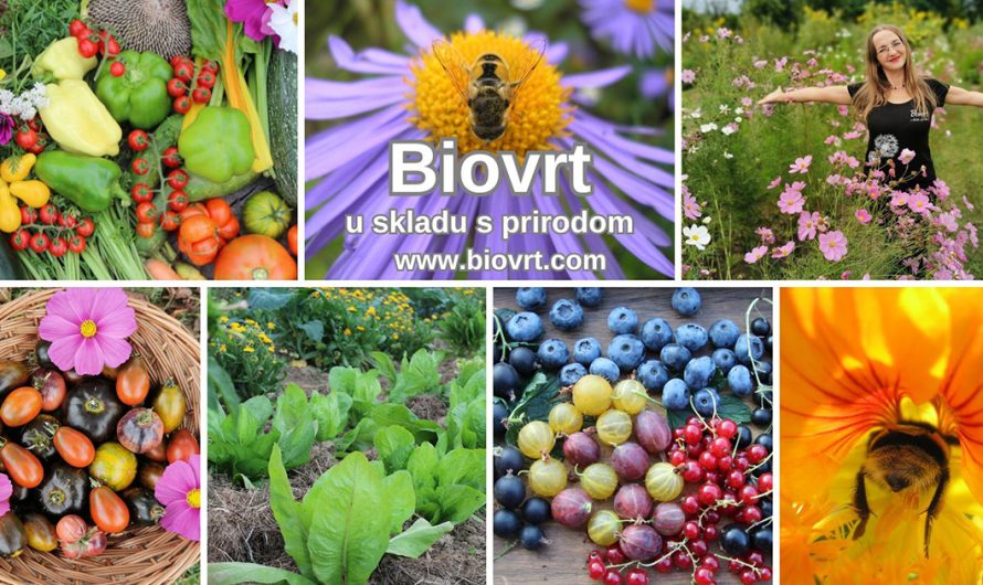 Udruga „Biovrt – u skladu s prirodom“ – besplatna predavanja i razmjena sjemenja 2024.