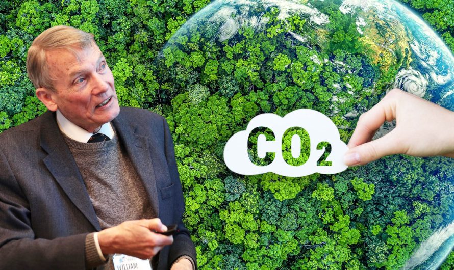 Više CO2 je dobro za svijet