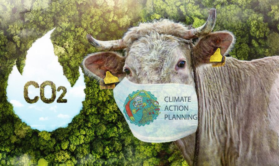 Britanski klimatski akcijski plan nezakonit