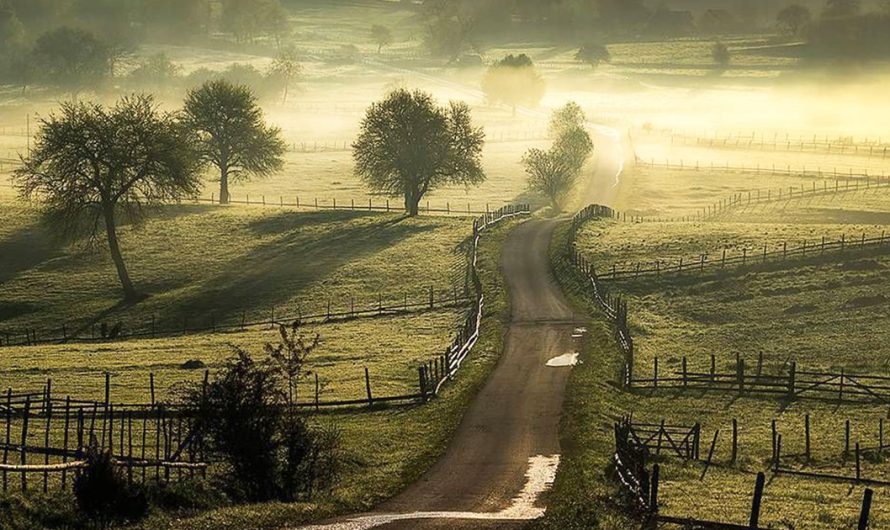 Večer nad gradom
