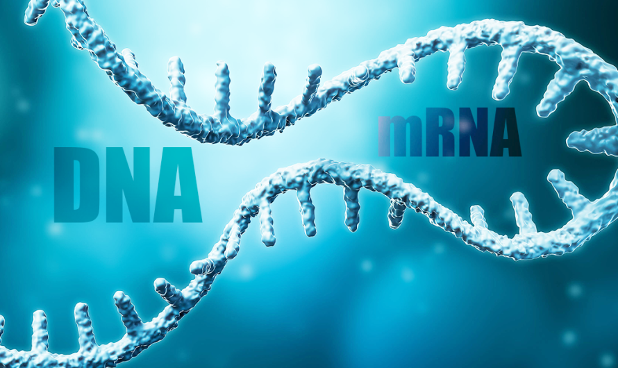 DNA kontaminacija