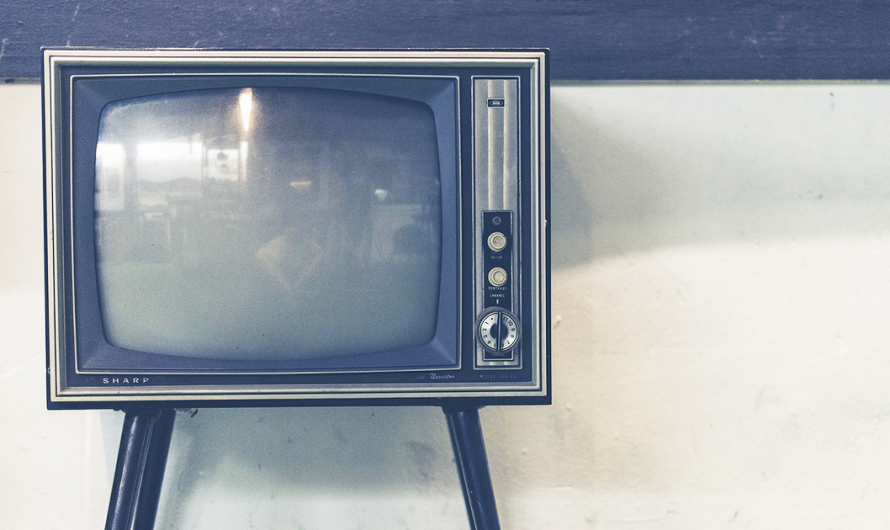 Polšak Palatinuš: Šok s TV-a