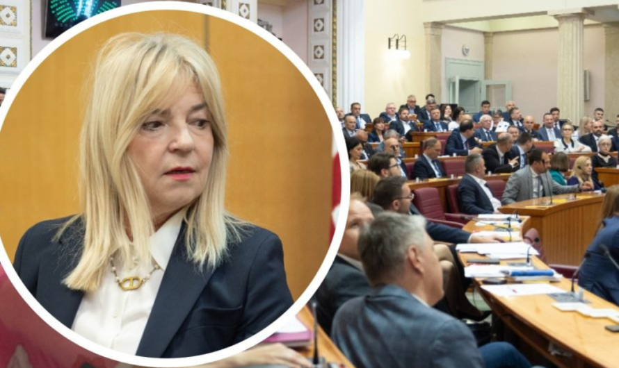 Tko je bio ZA Izvješće pravobraniteljice za djecu?