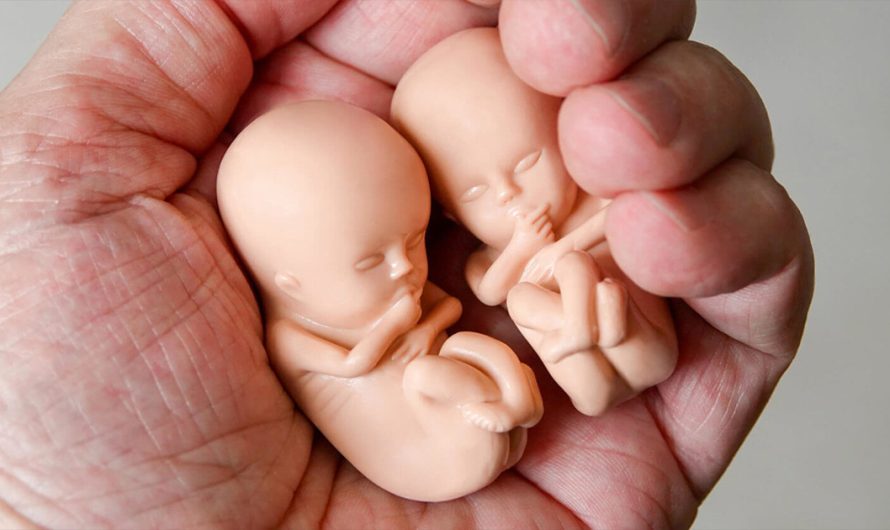 Udruga PaRiter, poznata po Festivalu menstruacije i Hopa Cupa, prevela WHO-ov priručnik o pobačaju