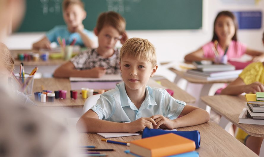 MAMA, ZAŠTO NE MOGU U SLIKOVNICI POVEĆATI CVJETIĆ?!
