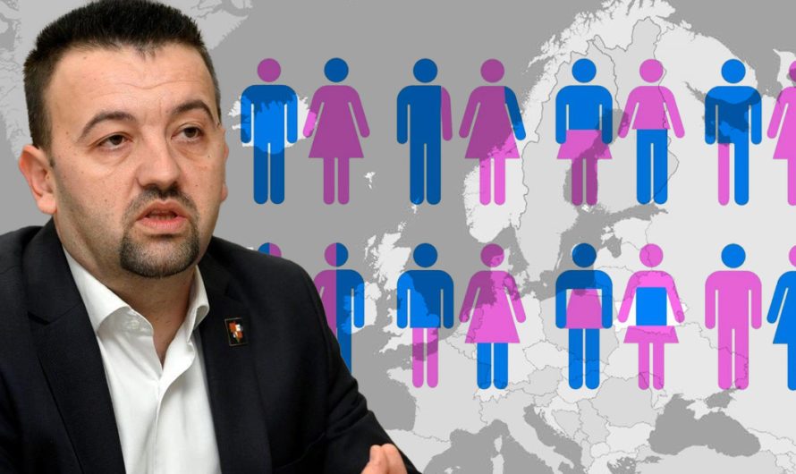 Ukidanje Istanbulske: Pavličeka podržao samo Grmoja; DP suzdržan, kreće prikupljanje potpisa